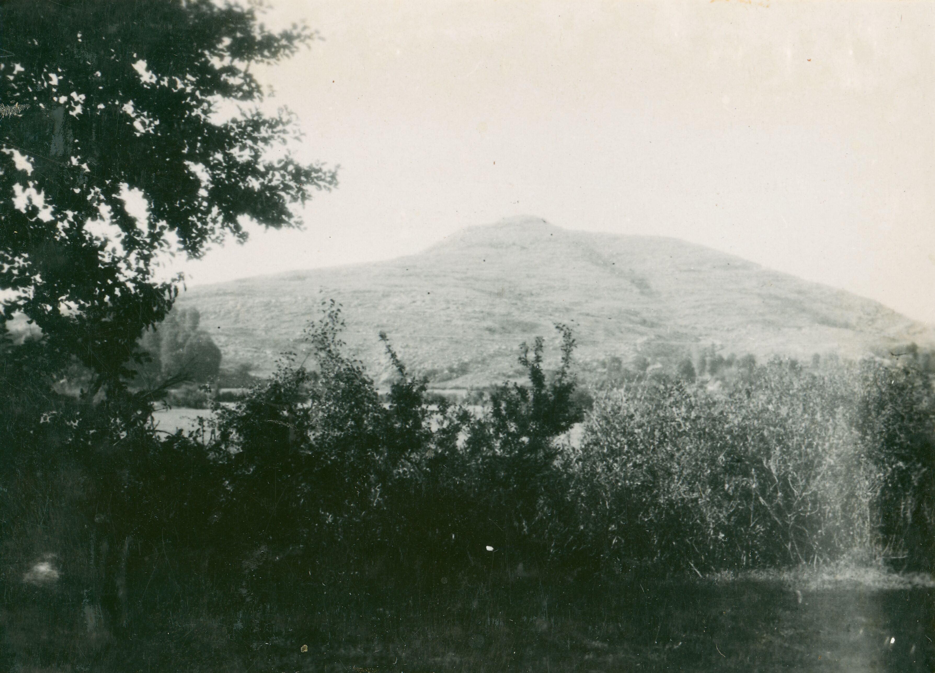 Većeslav Henneberg, Medak - Gradina Medak s istoka, s vegetacijom