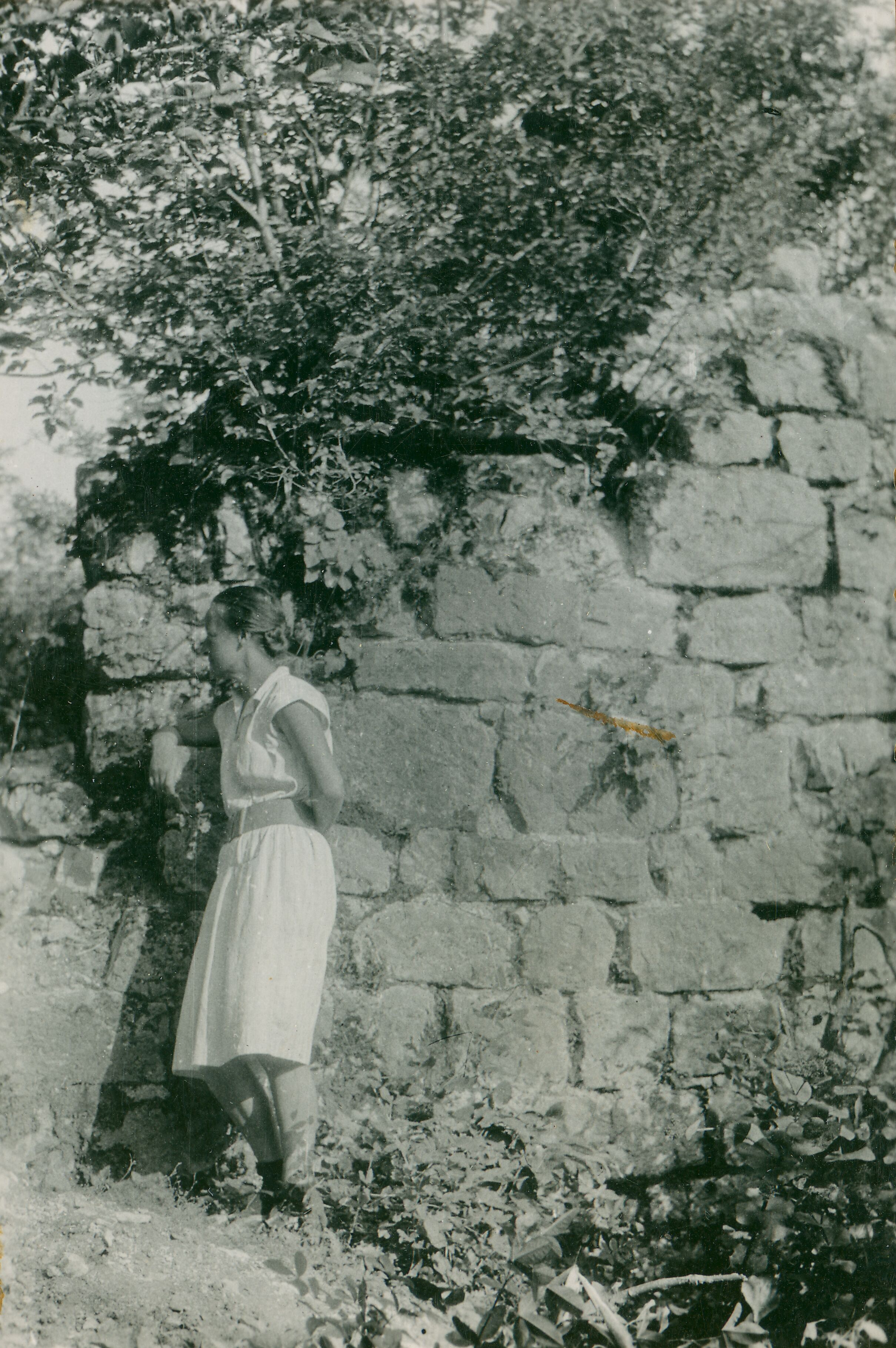 Većeslav Henneberg, Počitelj - Grad, detalj: kvadri kod ulaza (pozira Omčikusova)