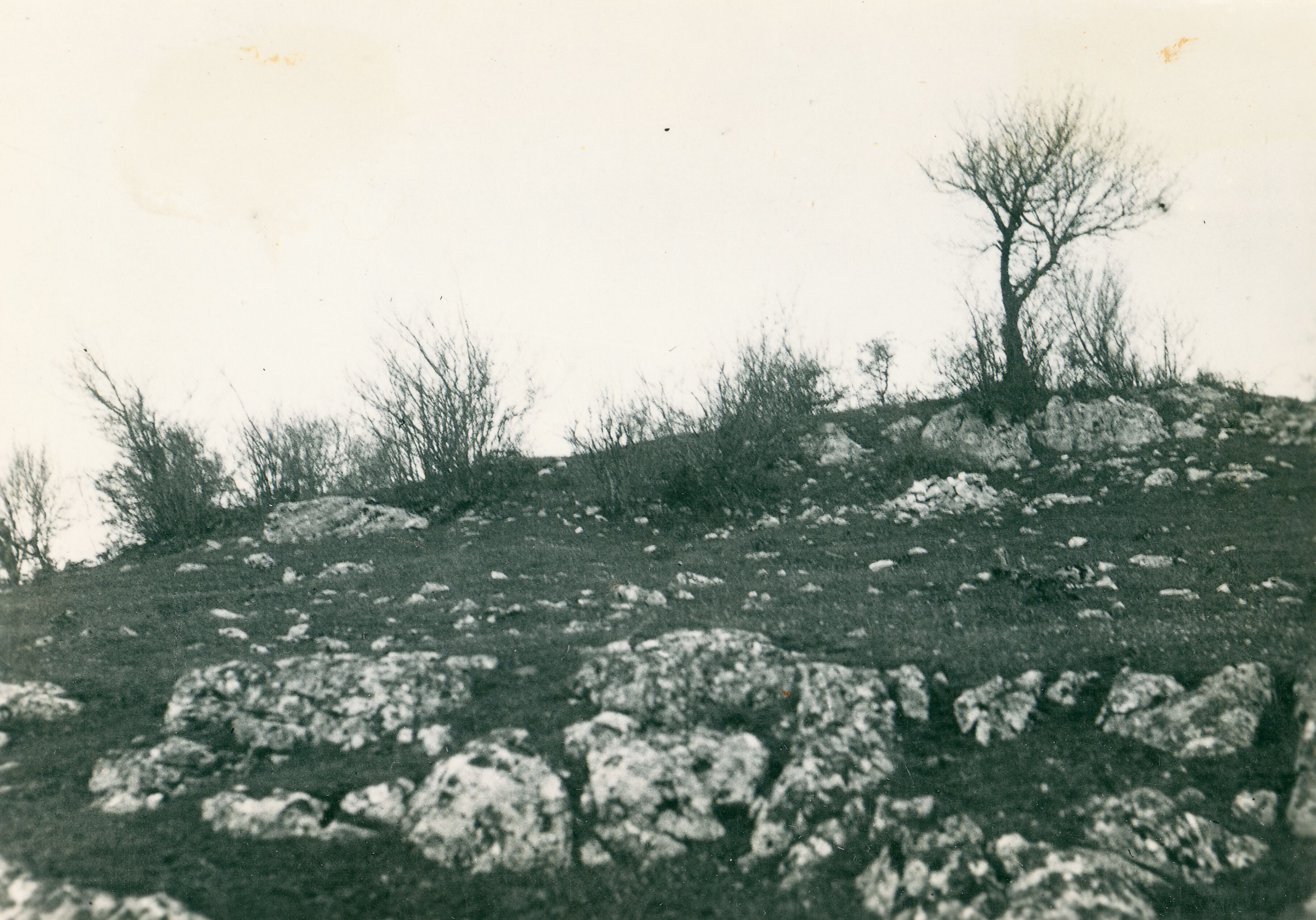 Većeslav Henneberg, Kompolje - Crkvina, detalj situacije