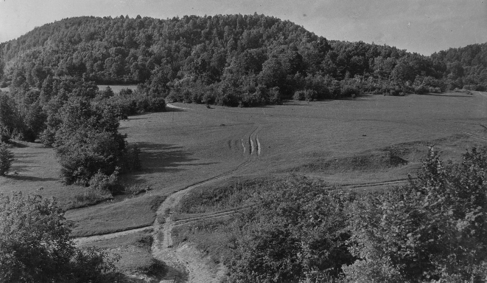 Vladimir Horvat, Medvednica - Ponikve