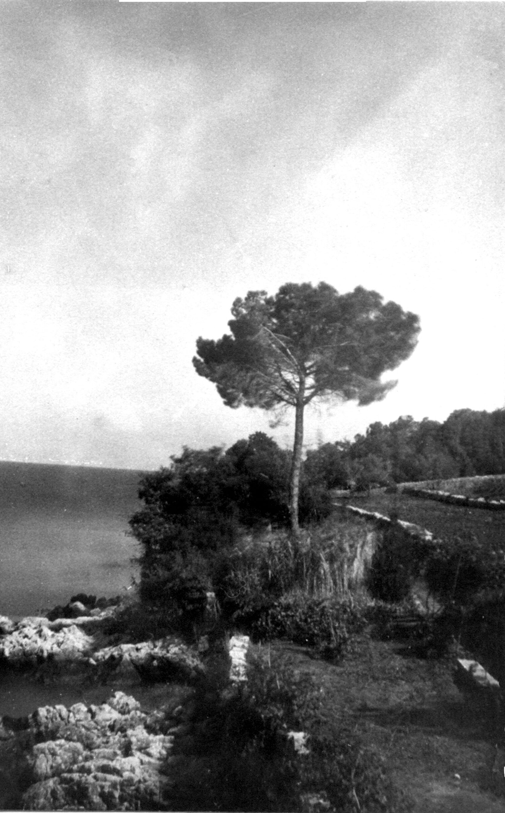 Branko Fučić, Glavotok (Krk), krajolik