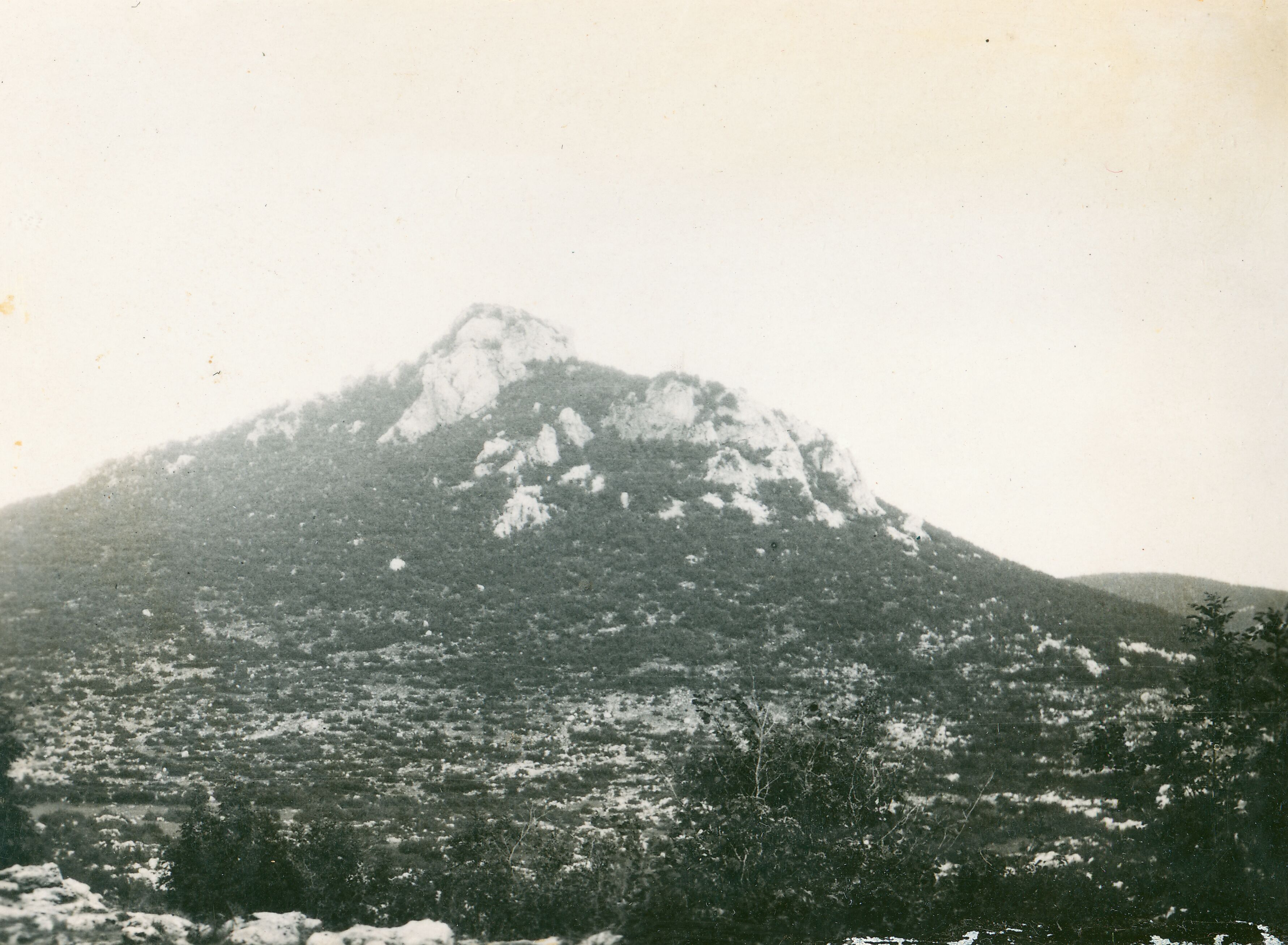 Većeslav Henneberg, Karlovića Dvori, srednjovjekovni grad