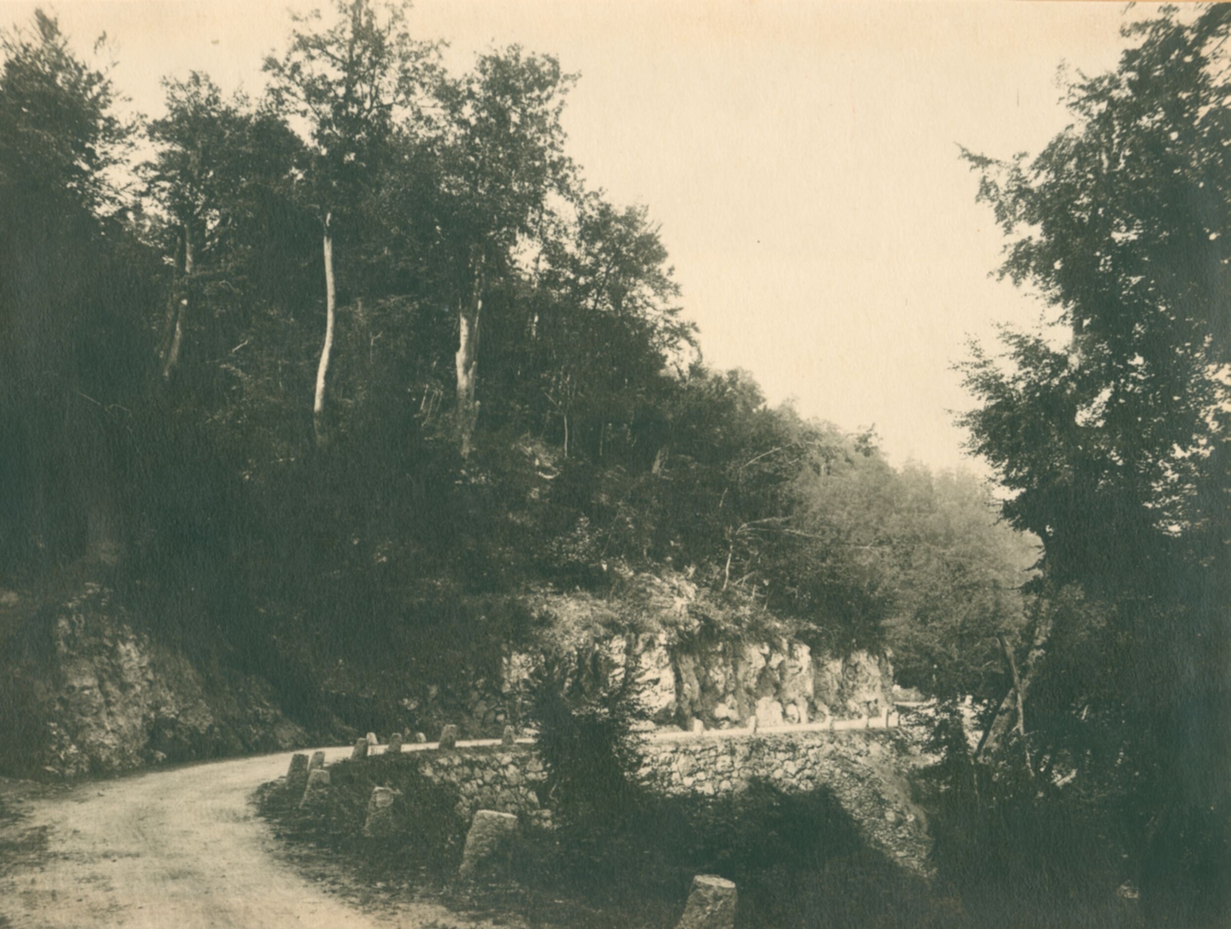 Vaso Margetić (?), Lika – cesta kroz šumoviti predio