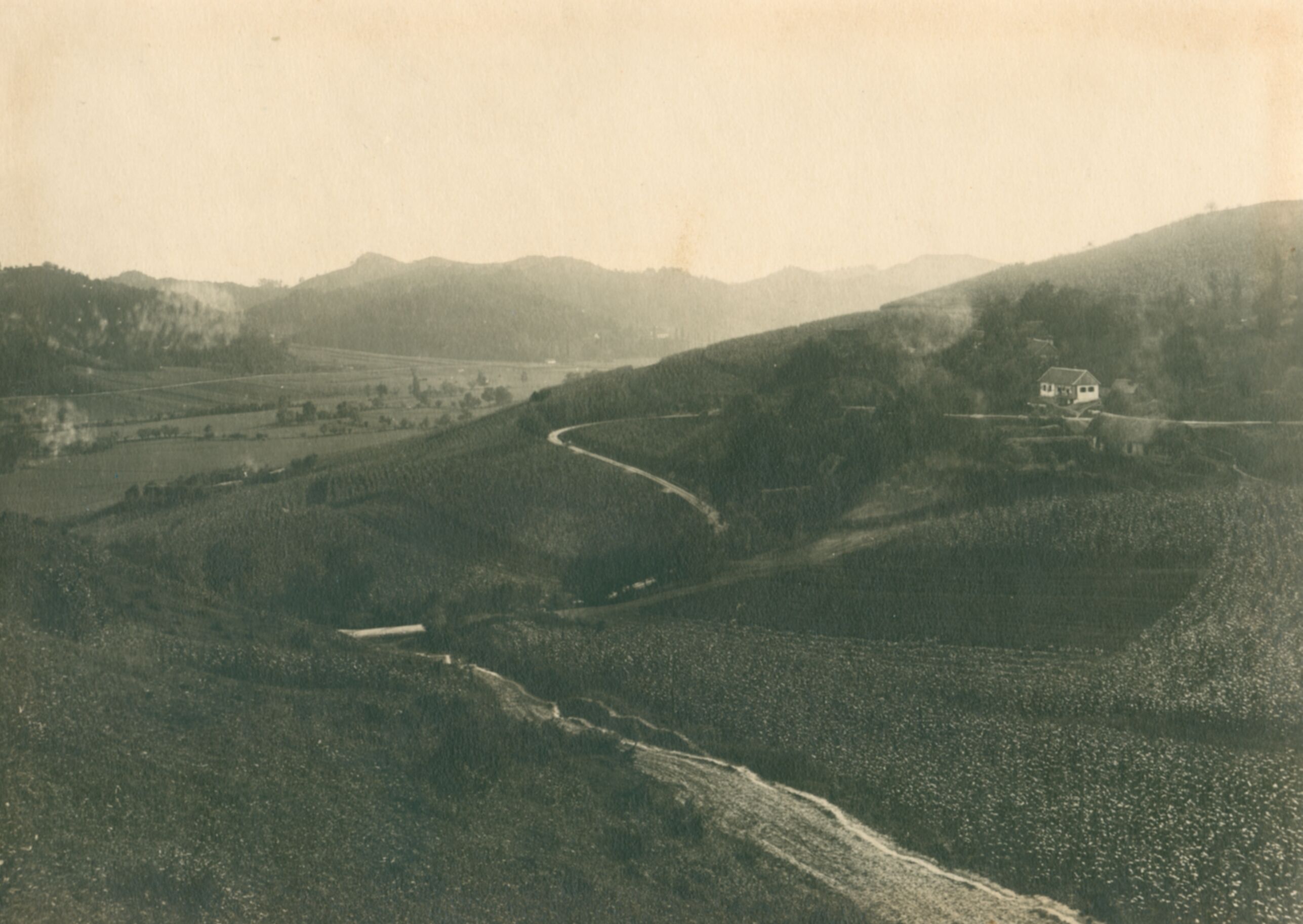 Vaso Margetić (?), Lika - krajolik sa cestom