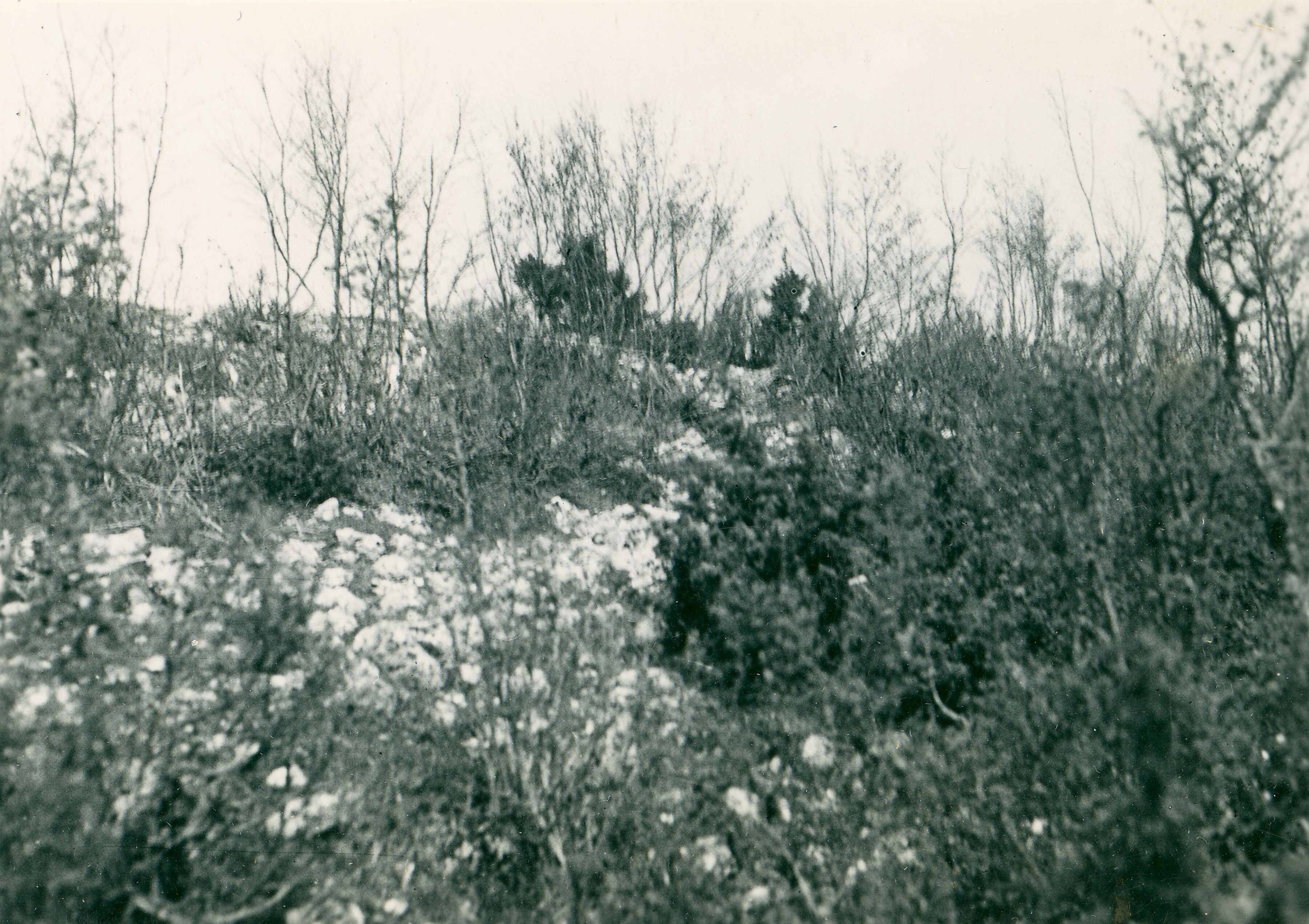Većeslav Henneberg, Škamnica - Grad, ostaci zidova