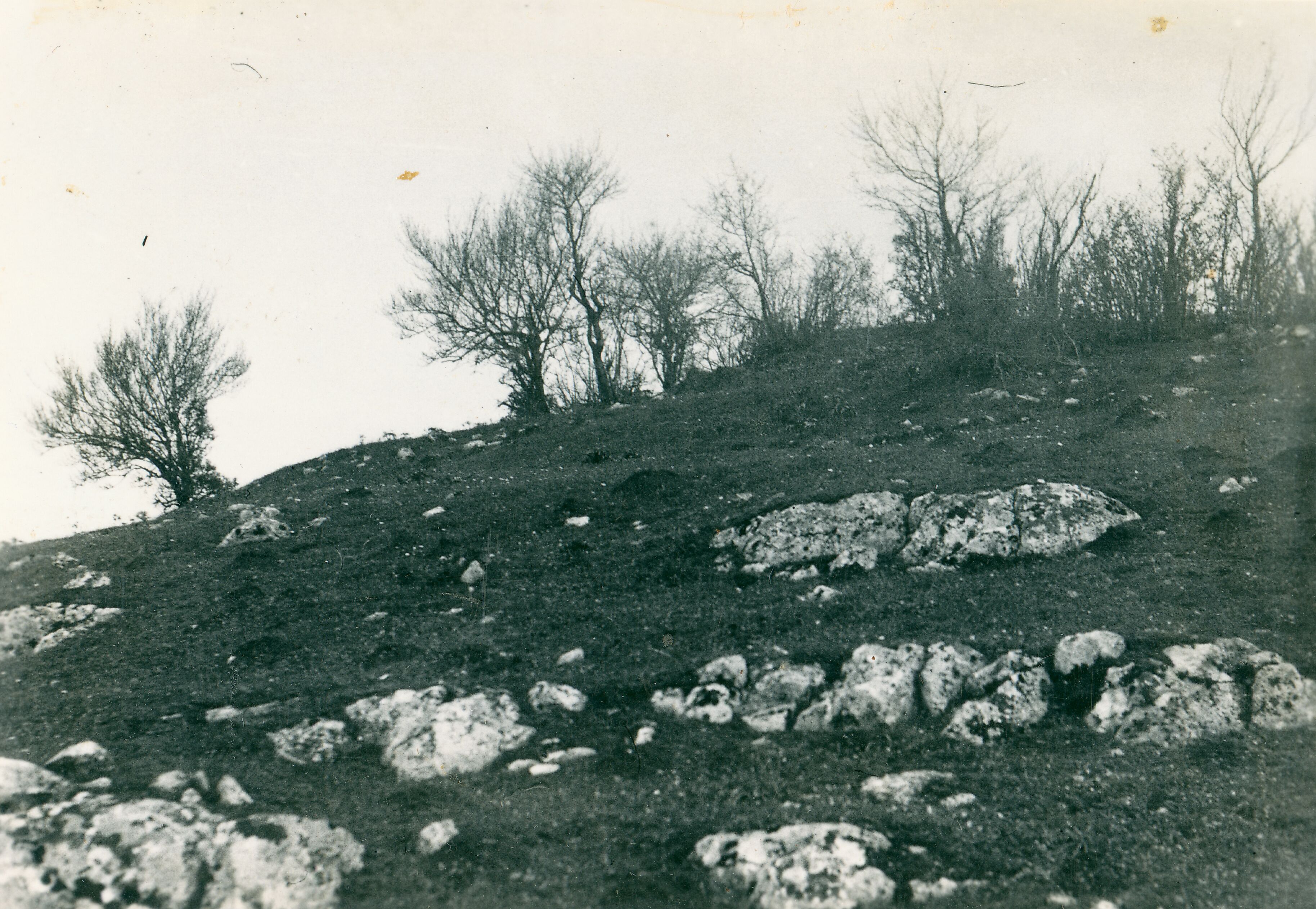 Većeslav Henneberg, Kompolje - Crkvina, detalj situacije