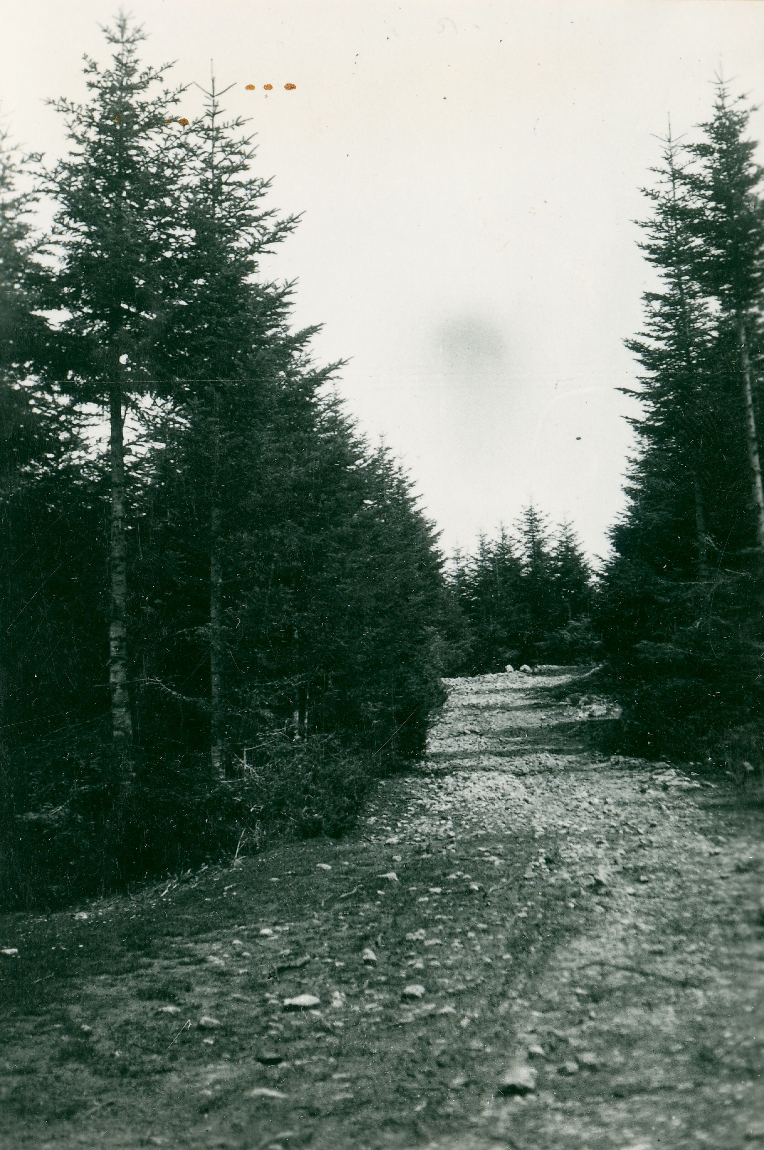 Većeslav Henneberg, Škamnica - Cesta s brinjske, sjeverne strane, prema gradu