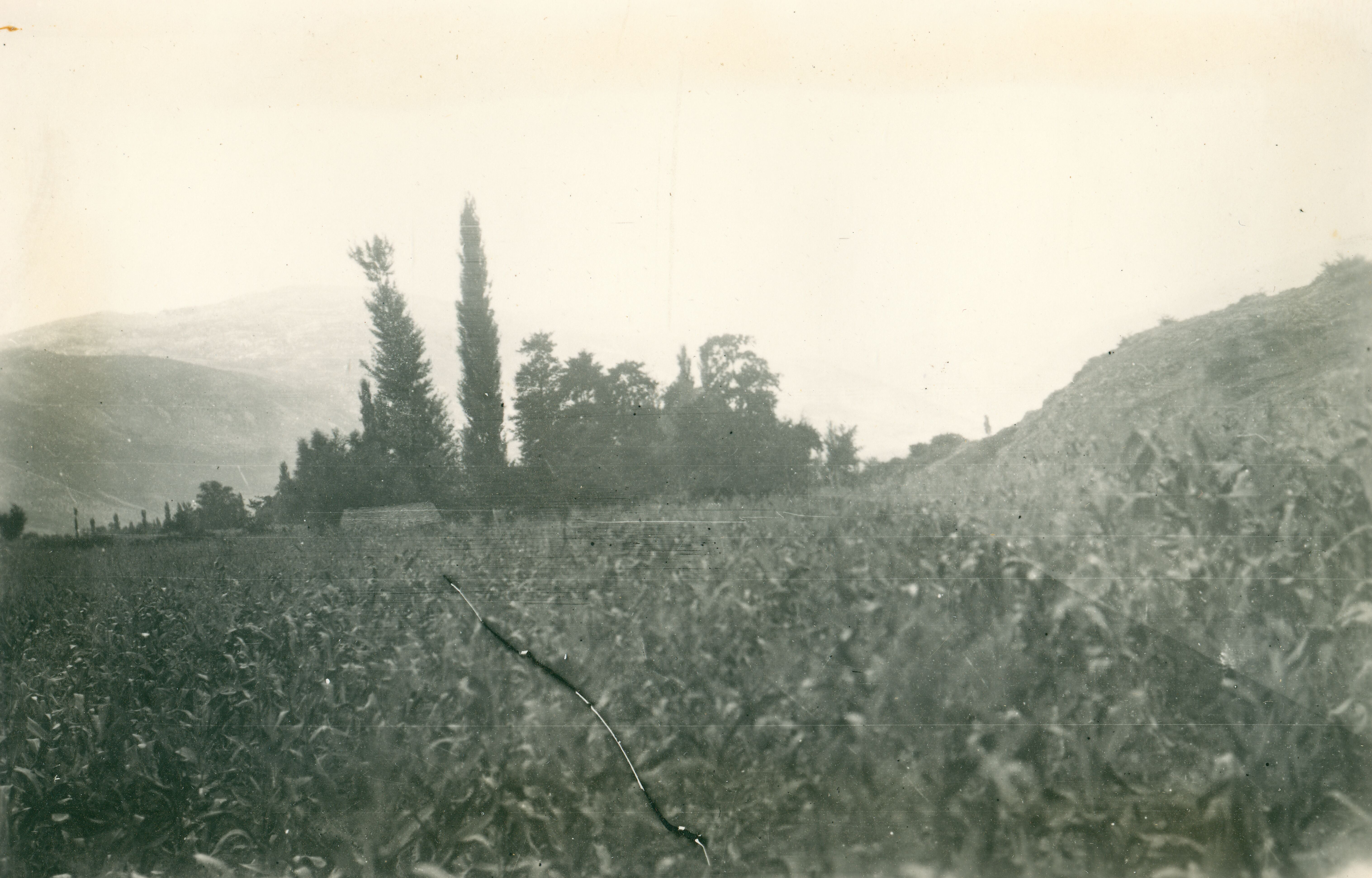 Većeslav Henneberg, Plavno - Krajolik, pogled s juga