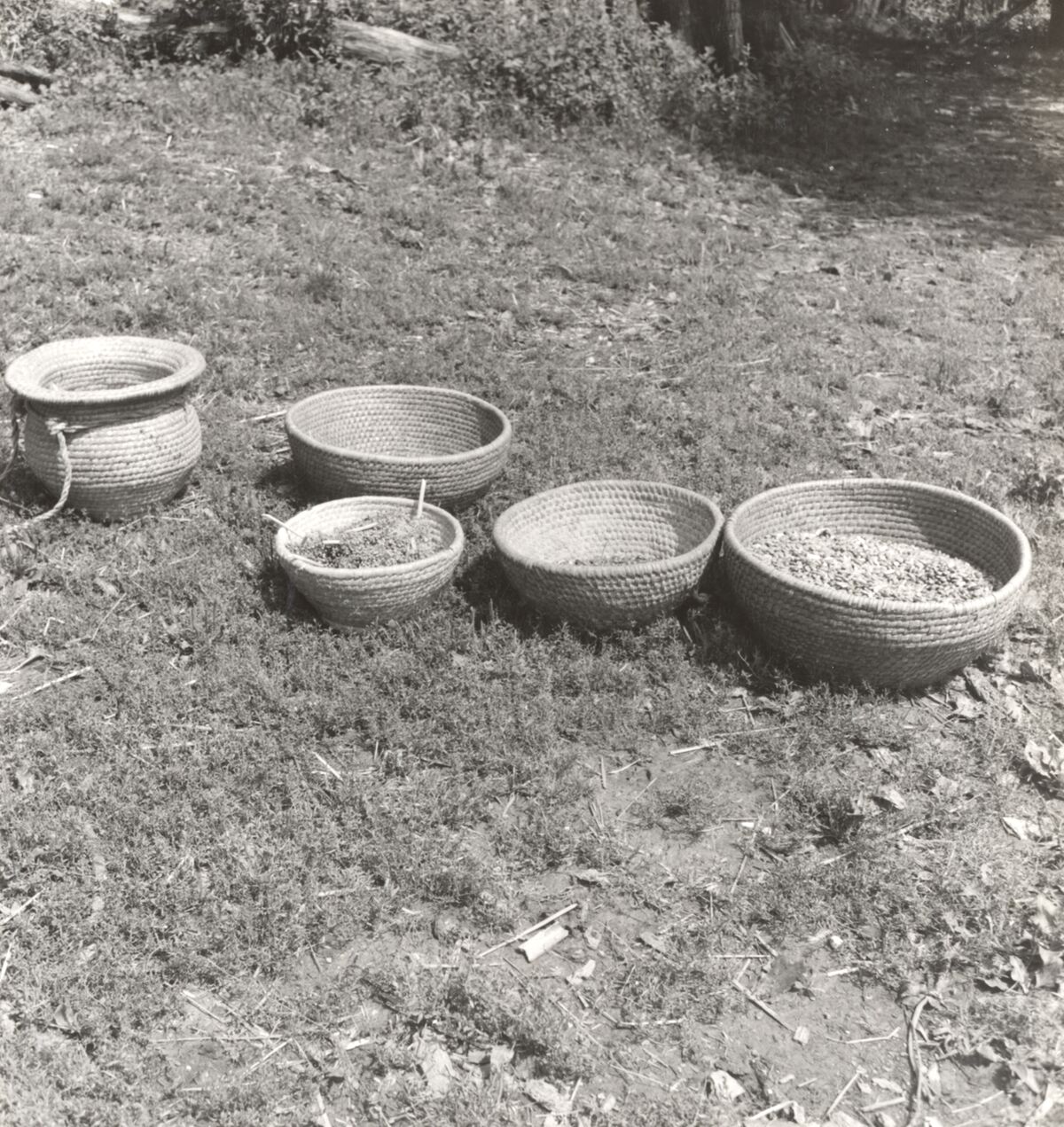 Bukovčak - Košare