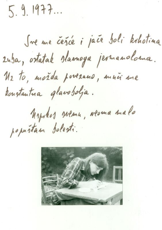 Moja godina 1.1.1977.-31.12.1977.