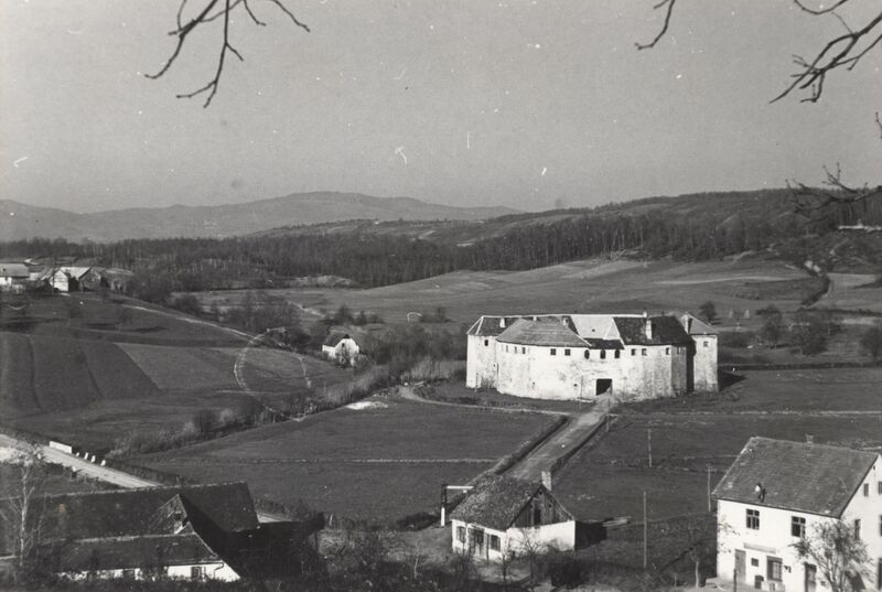 Ribnik - Stari grad, pogled s juga