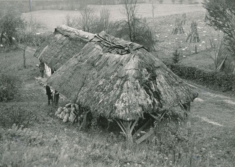 Tomašnica (Ozalj) - Sjenik i tradicijska kuća