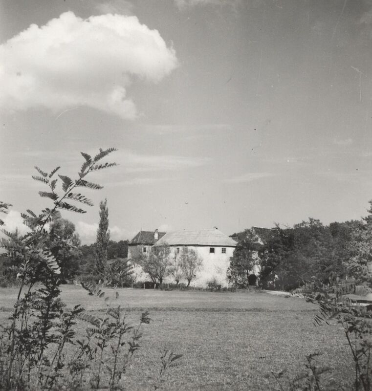 Ribnik - Stari grad, nizinski burg