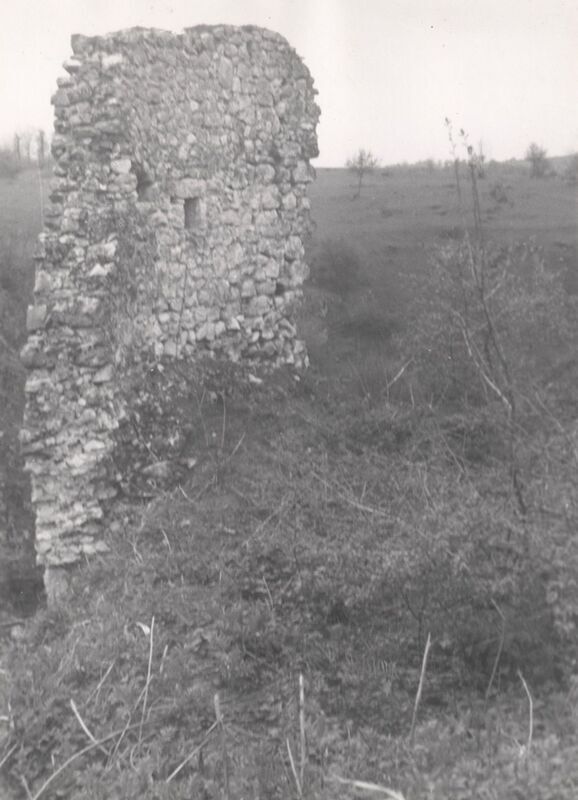 Drežnik Grad - Ruševine starog grada Drežnika