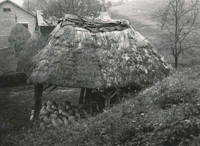 Tomašnica (Ozalj) - Gospodarska zgrada