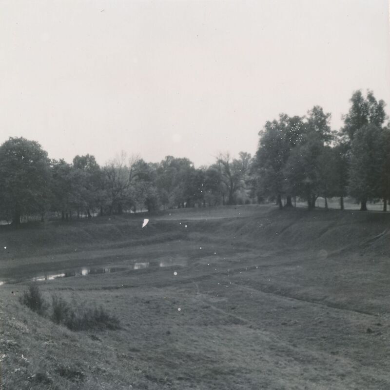 Karlovac - aleja kestena