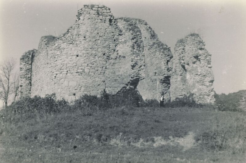 Klokoč (Vojnić) - Stari grad Celjskih, detalj