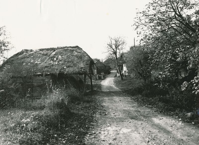 Brlog Ozaljski (Kamanje) - Gospodarska zgrada