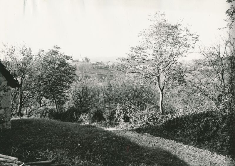 Hodinci (Ozalj) - Panorama