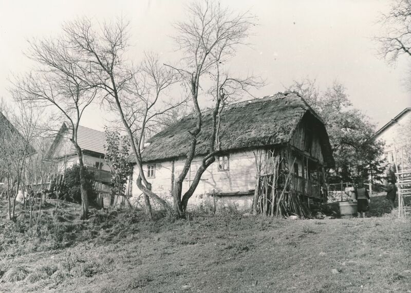 Jarnevići (Ribnik) - Tradicijsko graditeljstvo, bočno pročelje