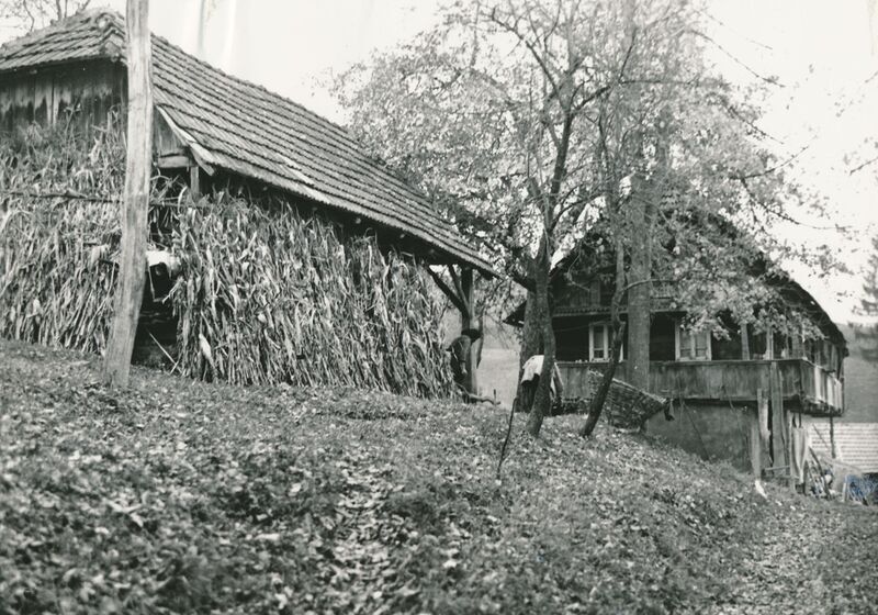 Tomašnica (Ozalj) - Okućnica