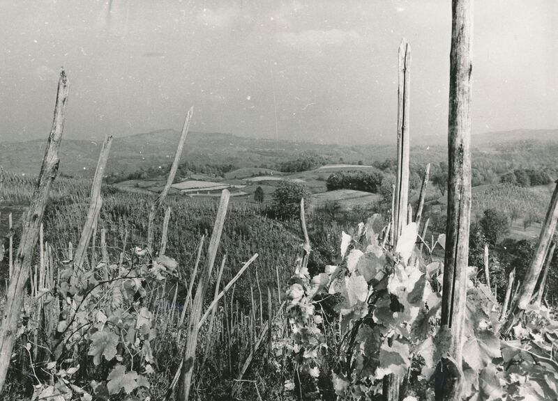 Ozalj (Lukinić Draga) - Panorama