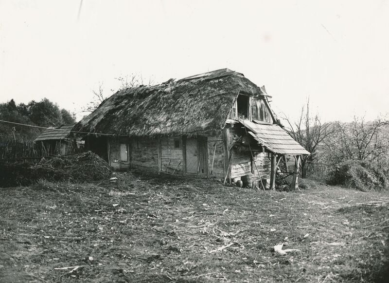 Jasenovica (Ribnik) - Gospodarska zgrada