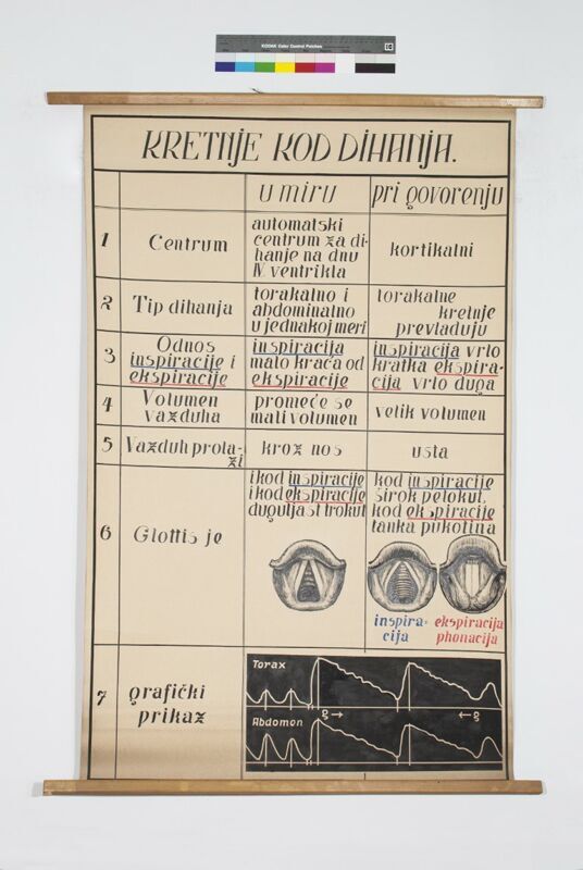 Kretnje kod dihanja