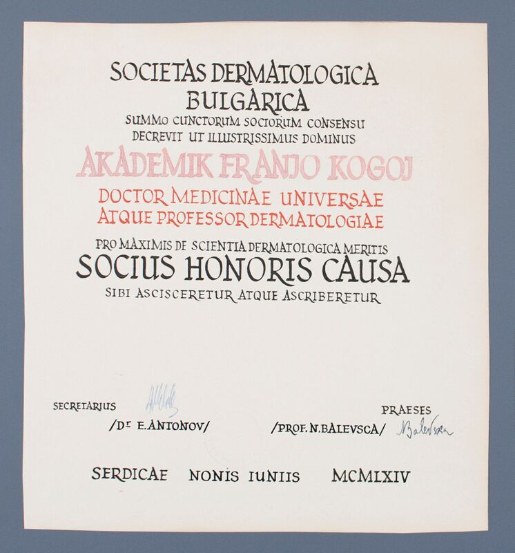 Socius honoris causa