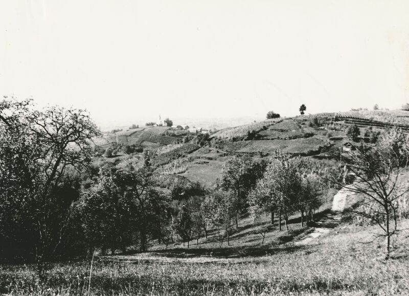 Hodinci (Ozalj) - Panorama