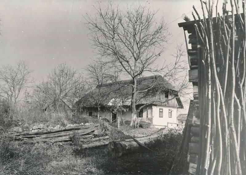 Jarnevići (Ribnik) - Tradicijska drvena kuća, uže i dulje pročelje