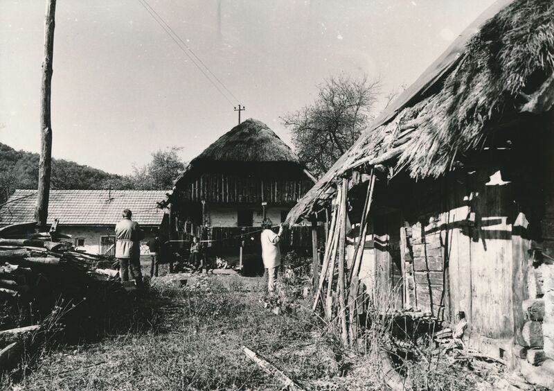 Griče (Ribnik) - Okućnica