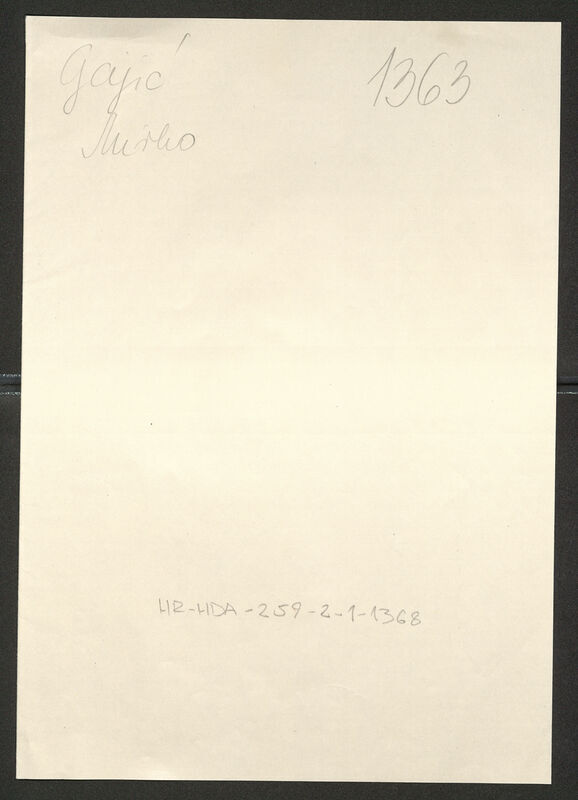 Gajić, Mirko, ¸6.7.1907. Policijski karton