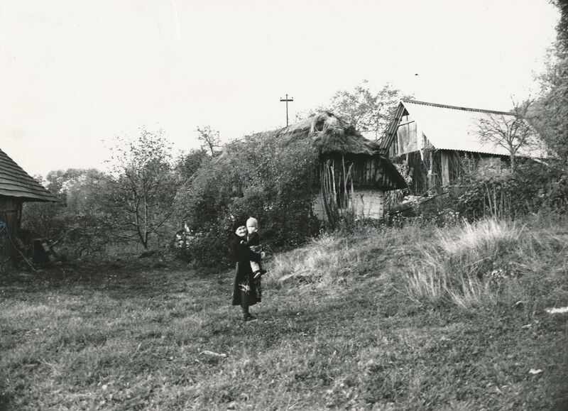 Jasenovica (Ribnik) - Tradicijske kuće