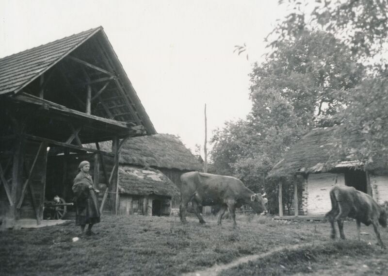 Bubnjarci (Žakanje) - Tradicijska okućnica