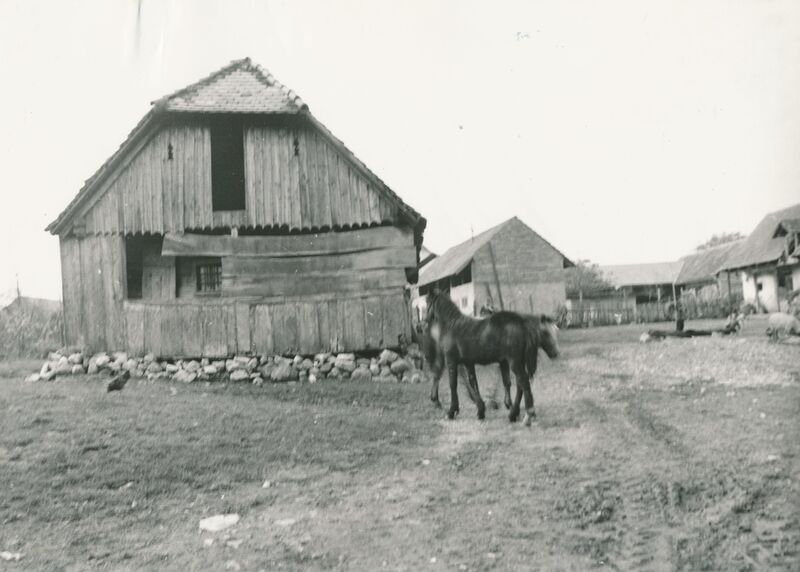 Polje Ozaljsko (Ozalj) - Tradicijska kuća, sjeverno pročelje