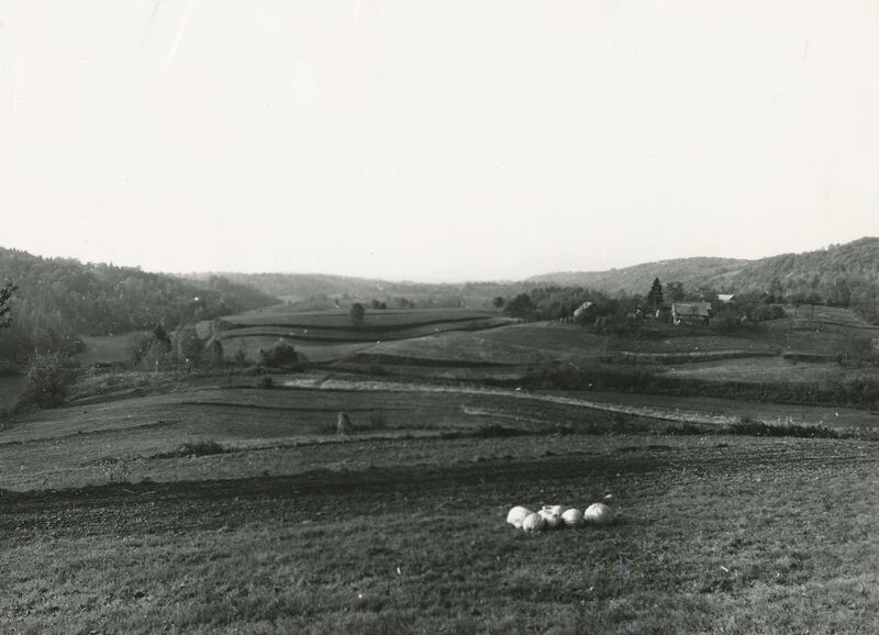 Jasenovica (Ribnik) - Panorama