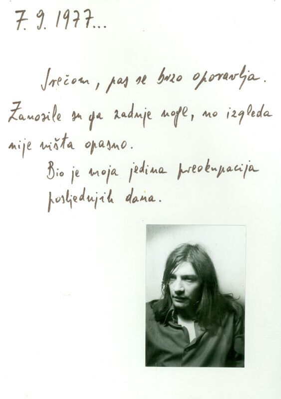 Moja godina 1.1.1977.-31.12.1977.