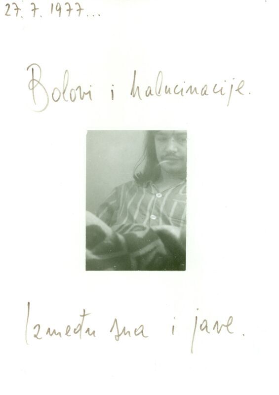 Moja godina 1.1.1977.-31.12.1977.