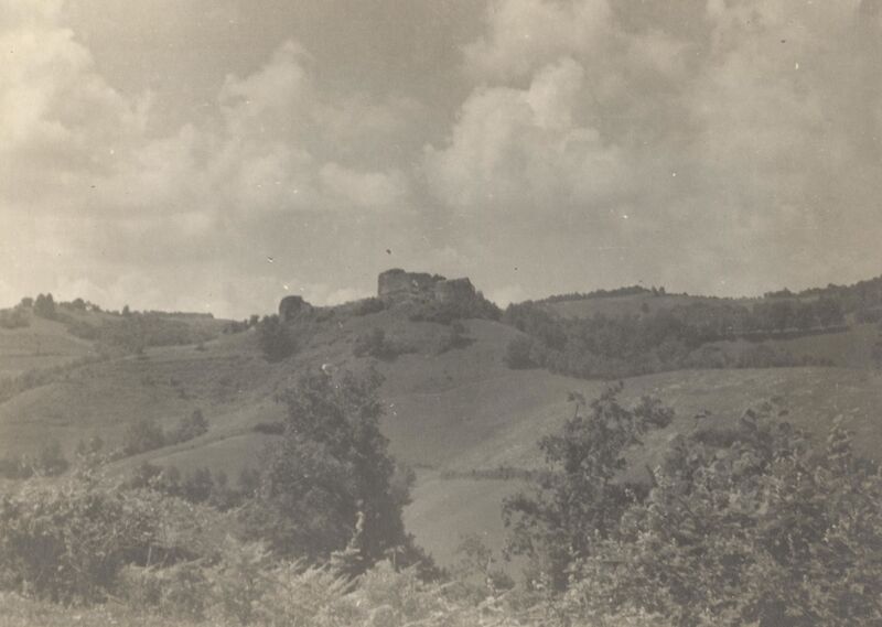 Podcetin (Cetingrad) - Ruševine grada Cetina