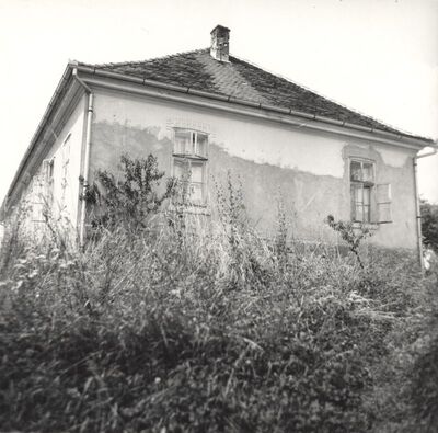 Donja Topličica - Kurija Domin, bočno pročelje