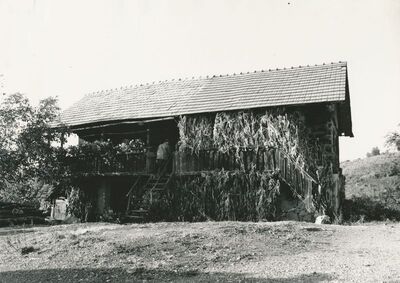 Hodinci (Ozalj) - Tradicijska kuća, ulazno pročelje