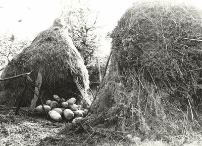 Martinski Vrh (Ribnik) - Stog