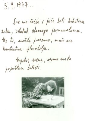 Moja godina 1.1.1977.-31.12.1977.