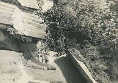 Trakošćan - zidni zubci