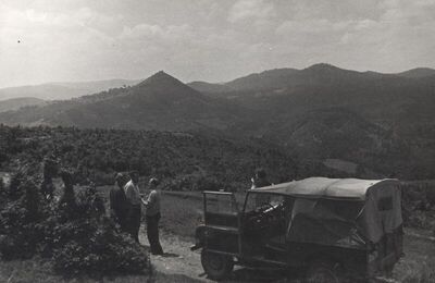 Modruš (Josipdol) - konzervatori uz napušteni put sjeverno od grada