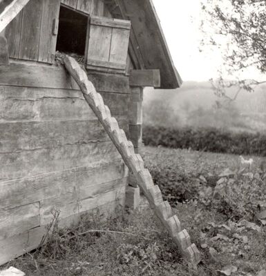 Lukinić Brdo - Drvene stepenice