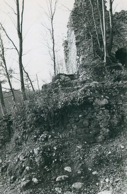 Zelingrad - Stari grad Zelingrad, dvorište