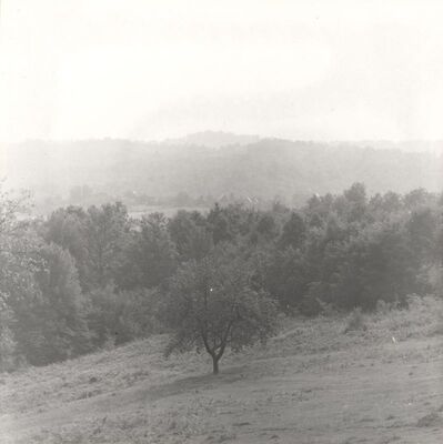 Donji Hruševec - Panorama