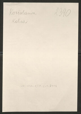 Korčulanin, Katica, 1899. Policijski karton